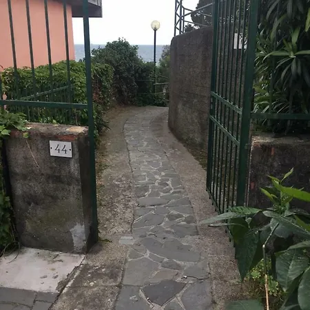 Cinqueterreblu Verdelimone *